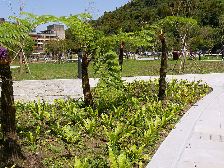 永春陂生態濕地公園