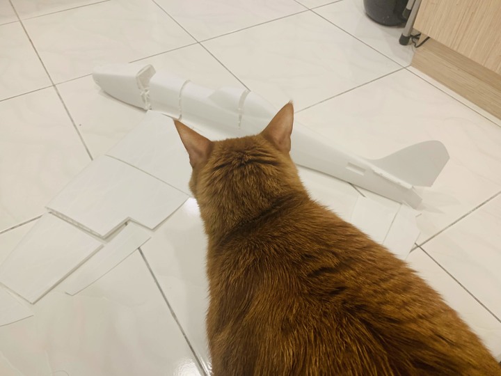 3D列印遙控飛機 2020-03-17 試飛成功