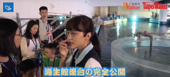 點我看大圖 夜宿海生館初體驗!晚上睡覺有魟魚們陪伴著太療癒拉~