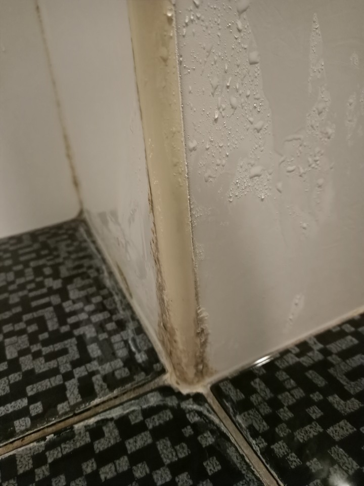 浴室磁磚是磁磚癌嗎