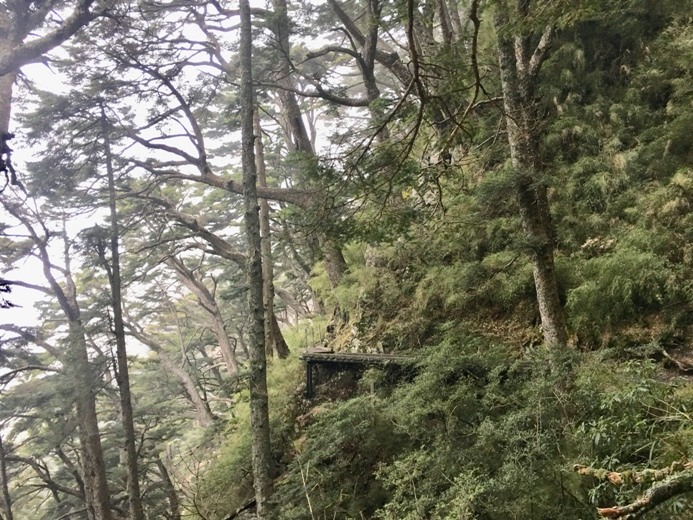 新手入門百岳-挑戰3952玉山主峰!