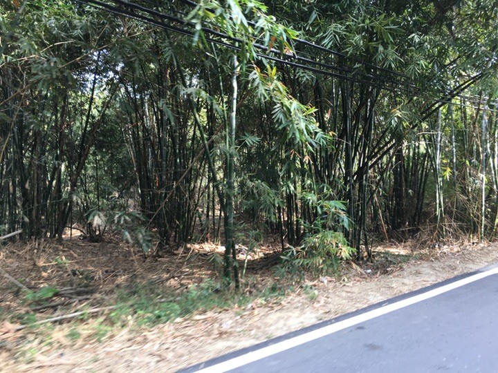 騎 車 到 月 球 ( 燕 巢、田 寮 )