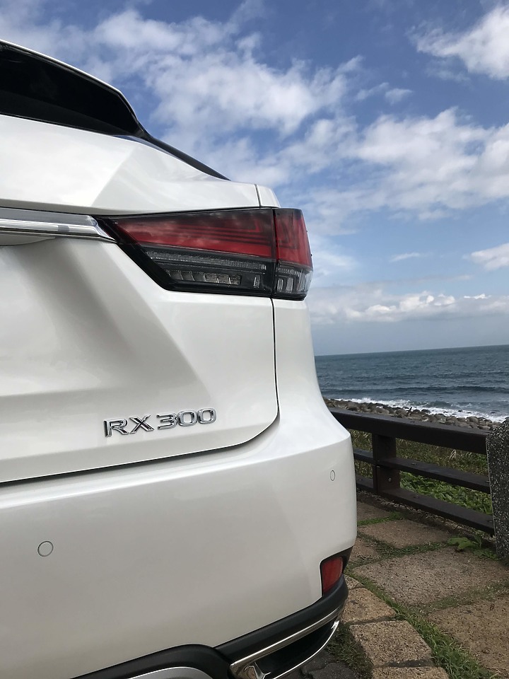 2020 4.5代 RX 300頂級版 (這輩子沒想過的開箱)(為何不選雙B及VOLVO)