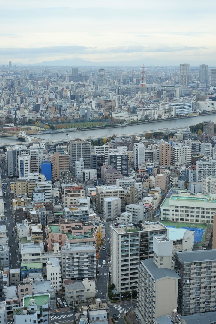2019年臘月，東京行(圖多)