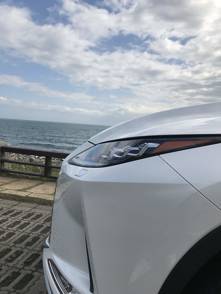 2020 4.5代 RX 300頂級版 (這輩子沒想過的開箱)(為何不選雙B及VOLVO)