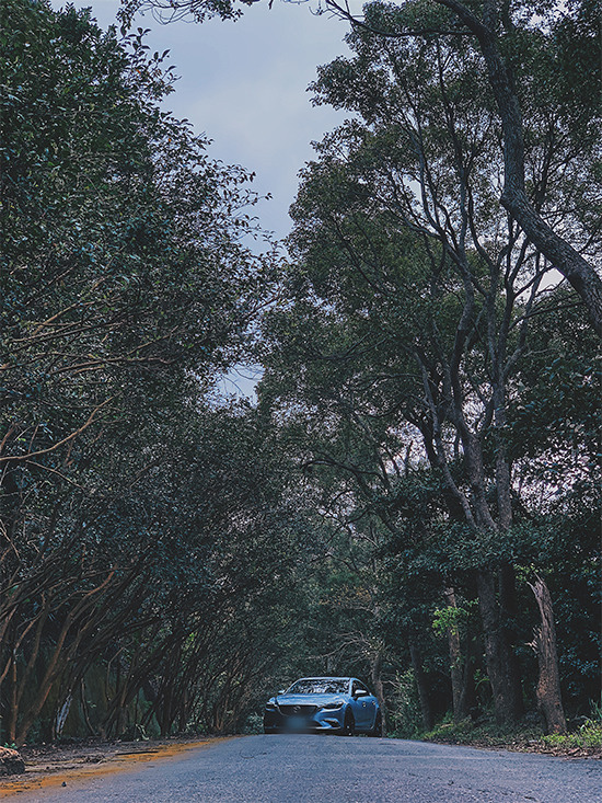 手機拍車& Mazda6入手四年心得