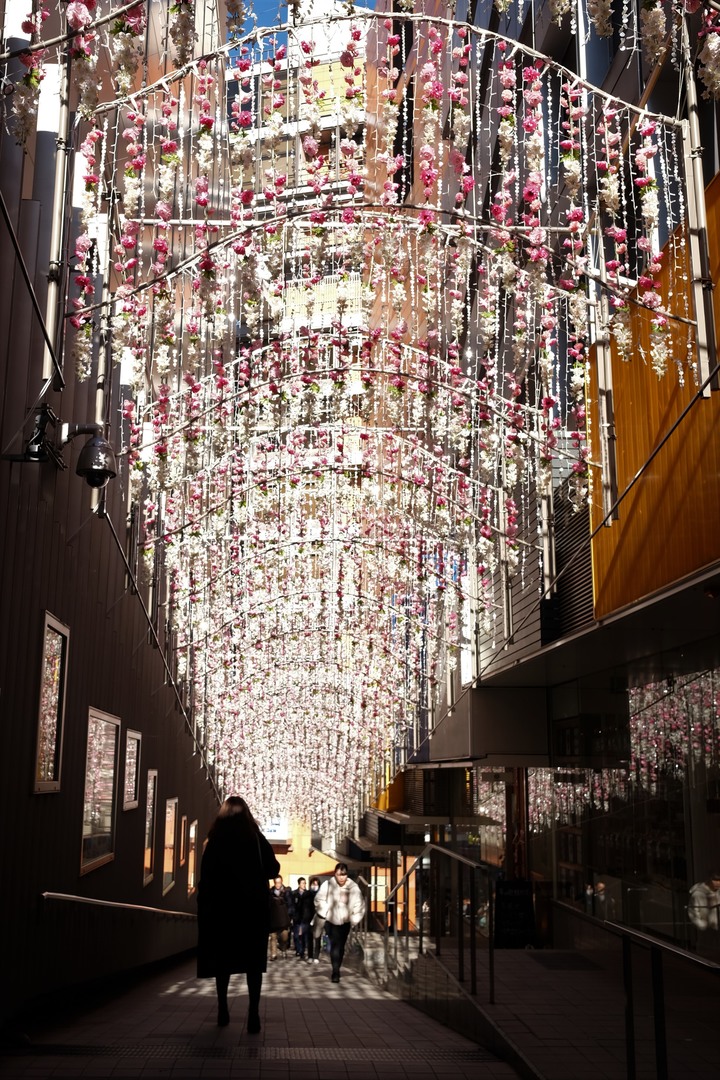 2019年臘月，東京行(圖多)