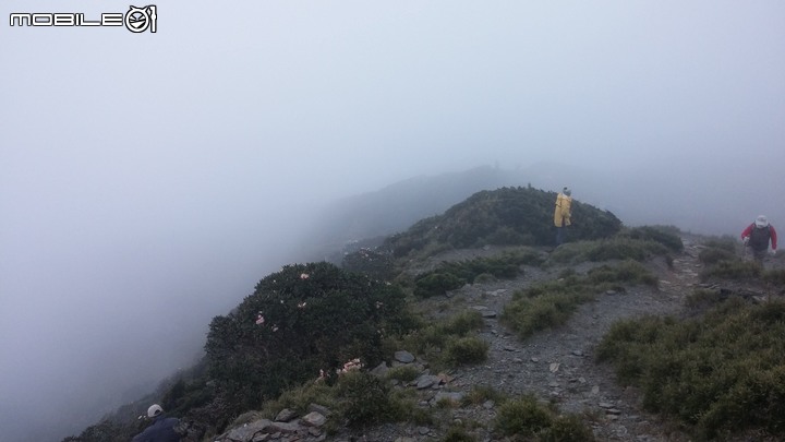 合歡山北峰~合歡山西峰~華岡