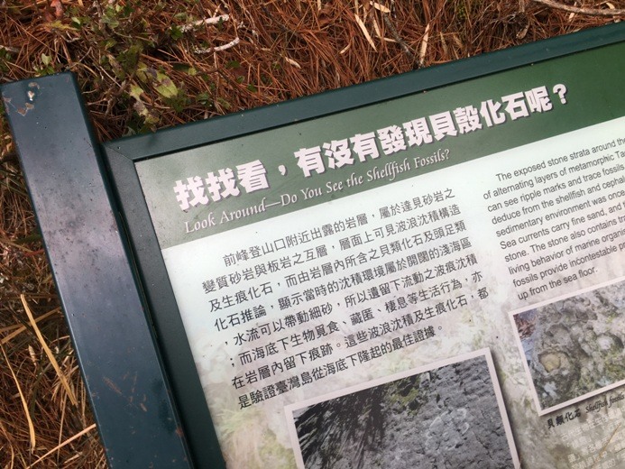 新手入門百岳-挑戰3952玉山主峰!