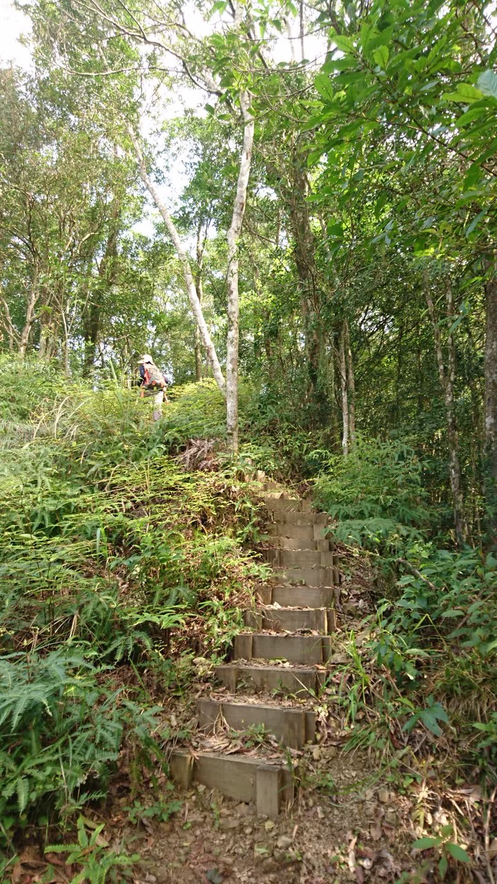 [樂山童盟] [新北坪林] 開眼崙登山步道