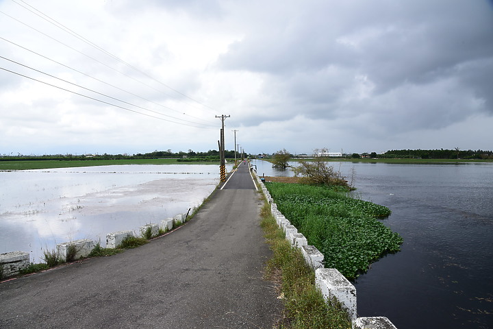 點我看大圖 滄海桑田:查勘彩䴉遷移路徑,才發現東港三西和與南州交壤的水稻田,變成了人工湖。