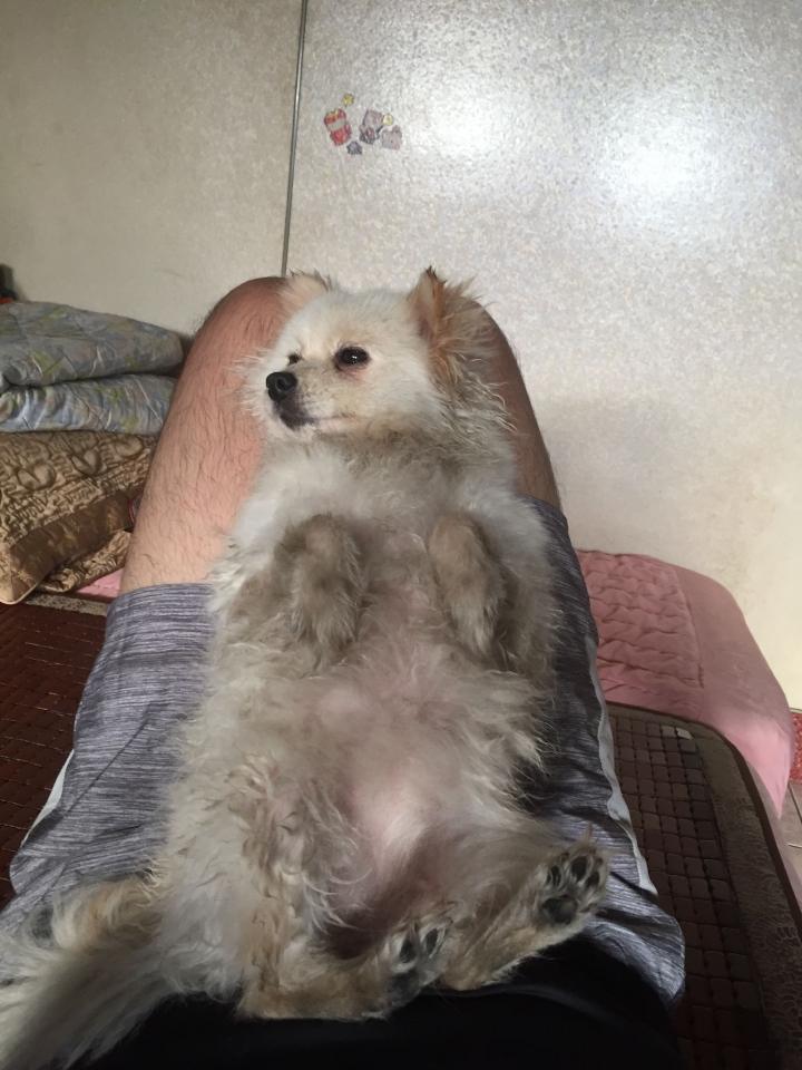 累累的日子😱