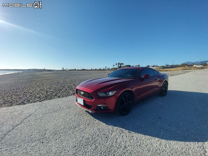 純粹分享Ford Mustang(純圖)