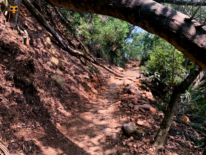 台版大峽谷｜苗栗火炎山健行一日遊（不用申請即可入山）