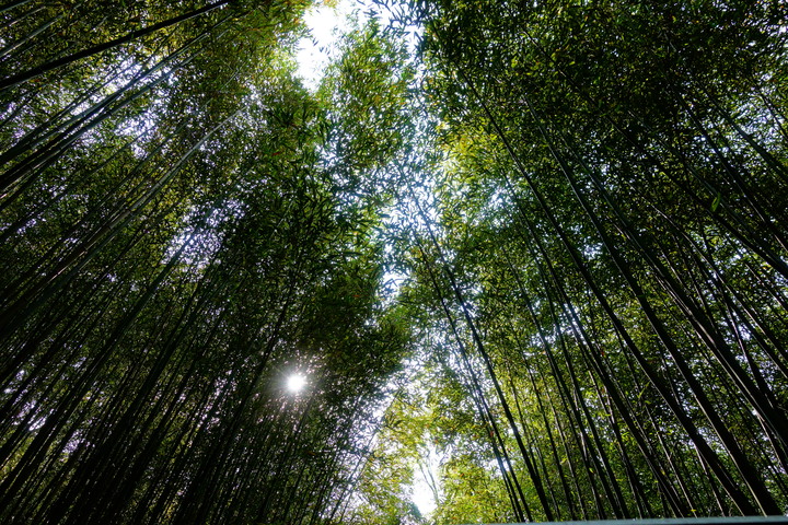 點我看大圖 【感動心得】─=≡Σ((( つ•̀ω•́)つ我與日蝕《ECLIPSE CROSS S-AWC》相見恨晚之上山下海暢遊無阻密境來去自如