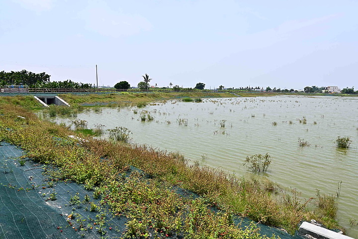 點我看大圖 滄海桑田:查勘彩䴉遷移路徑,才發現東港三西和與南州交壤的水稻田,變成了人工湖。