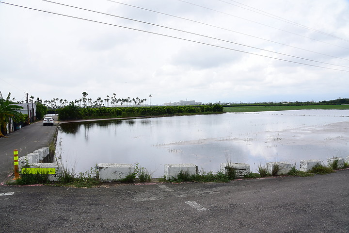 點我看大圖 滄海桑田:查勘彩䴉遷移路徑,才發現東港三西和與南州交壤的水稻田,變成了人工湖。