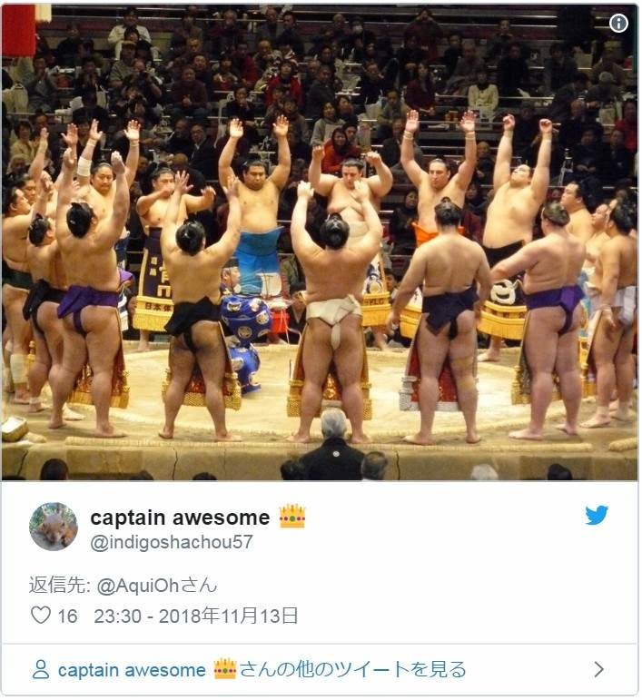 小熊貓突然「舉手手嚇同伴」
