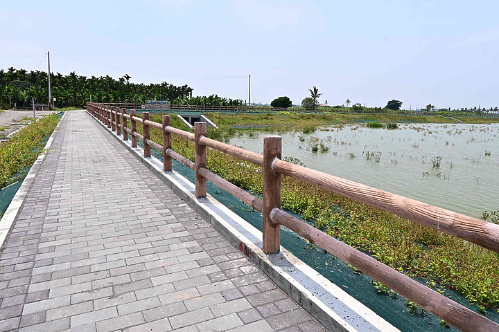 點我看大圖 滄海桑田:查勘彩䴉遷移路徑,才發現東港三西和與南州交壤的水稻田,變成了人工湖。