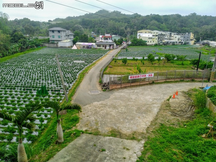 搭大眾交通 健行繞遊 葛瑞絲香草花田 明德水庫 明湖蘇堤