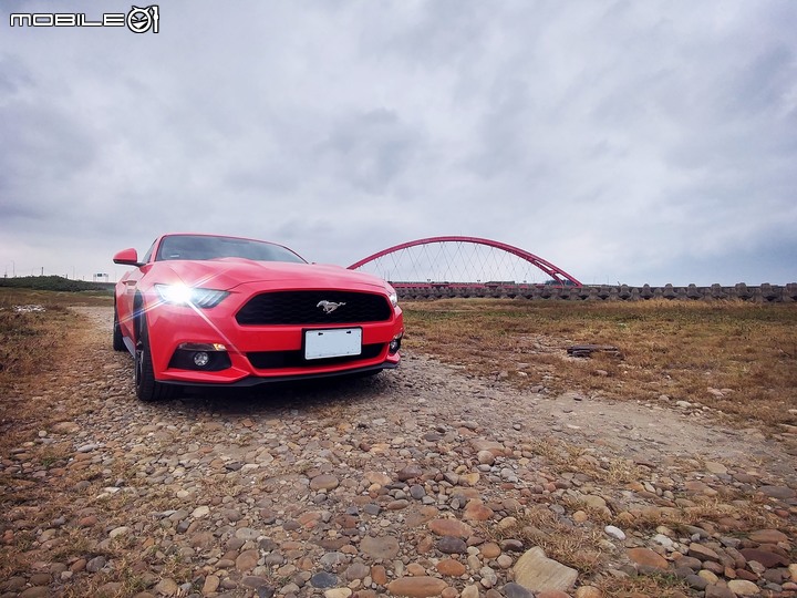 純粹分享Ford Mustang(純圖)