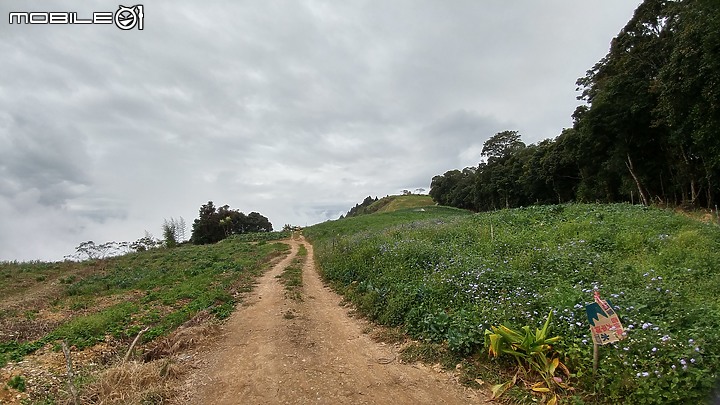 南投力行產業道路影像紀錄(純圖)