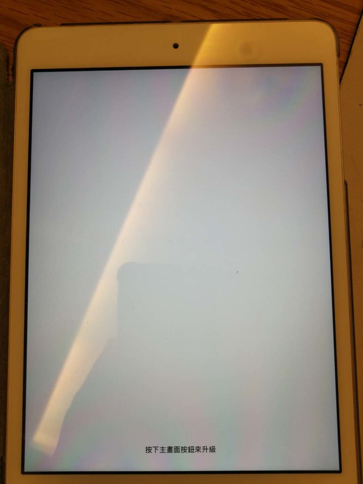 iPad mini 2 忘記密碼