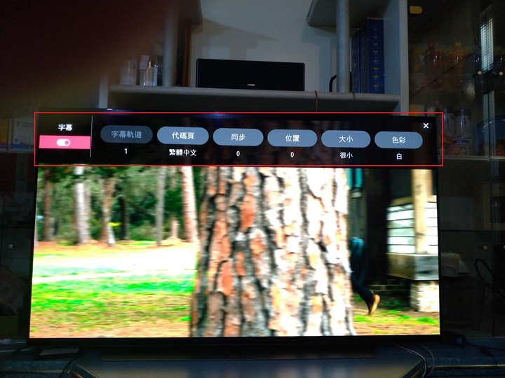 【開箱文】家裡第一部OLED電視LG OLED65C9PWA