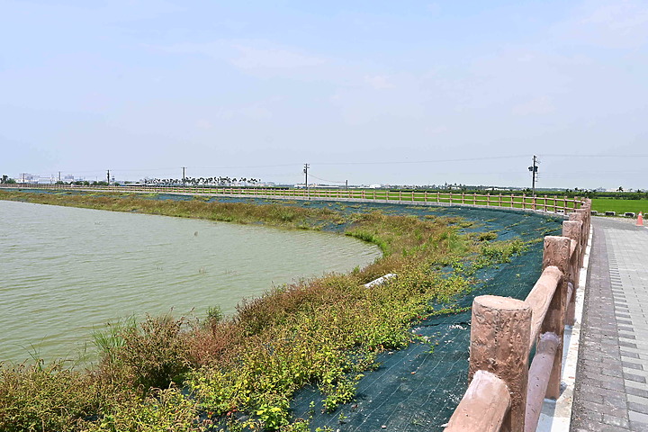 點我看大圖 滄海桑田:查勘彩䴉遷移路徑,才發現東港三西和與南州交壤的水稻田,變成了人工湖。