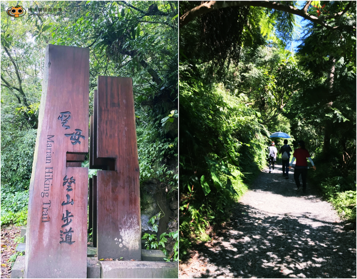 日本攝影師拍出台灣最美抹茶山,宜蘭聖母山莊步道!