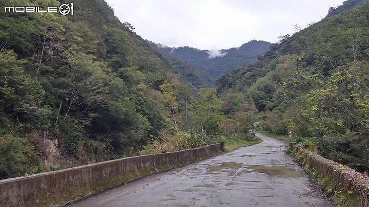 新竹縣司馬庫斯影像紀錄(純圖)