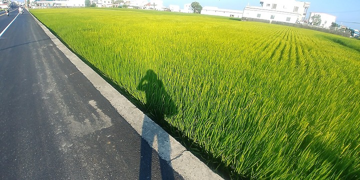 點我看大圖 徒步環島Day23-25台東縣大武鄉9.1K-太麻里鄉32.2K-台東市區23.2K