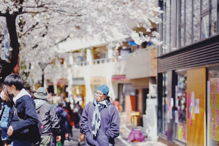 [X-Pro2] 2019 X TOKYO の櫻 （圖多）