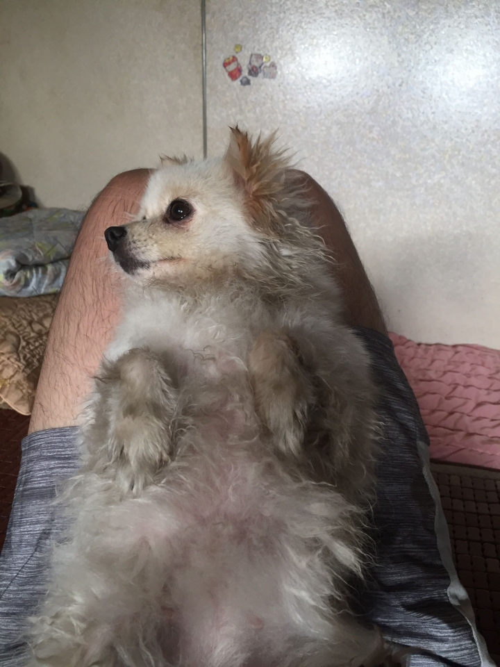累累的日子😱