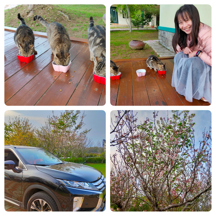 清境家園圖清淨，跨界日蝕伴相隨        Eclipse Cross 試駕遊記