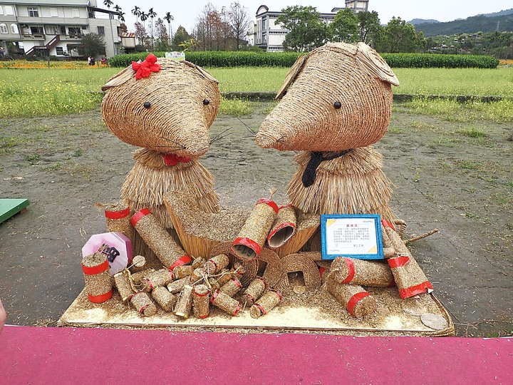 宜蘭 三星 安農溪驛站、落羽松、花海園區與天送埤火車站 — 宜蘭三星半日輕旅行