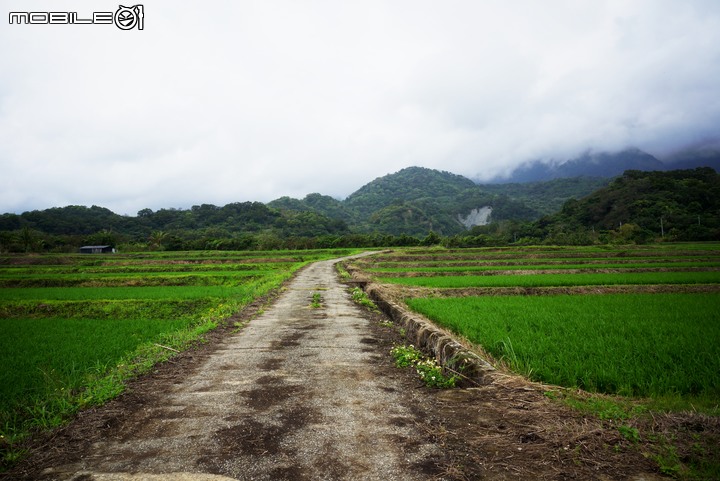 純粹分享Honda CR-V(純圖)