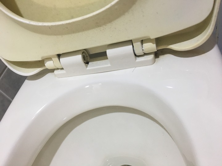 馬桶蓋拆不下來