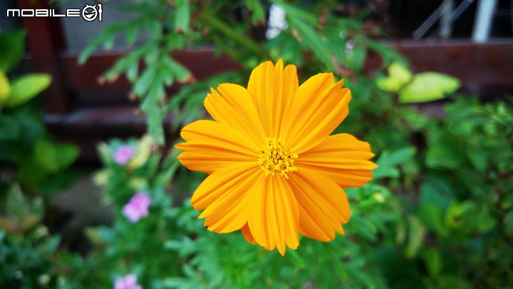 菲律賓宿霧影像紀錄(純圖)2