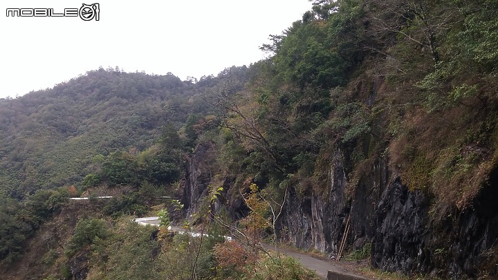 新竹縣司馬庫斯影像紀錄(純圖)