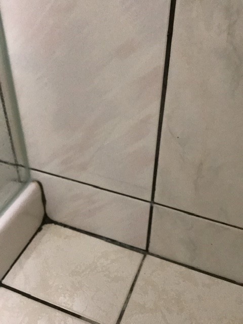 乾濕分離滲水