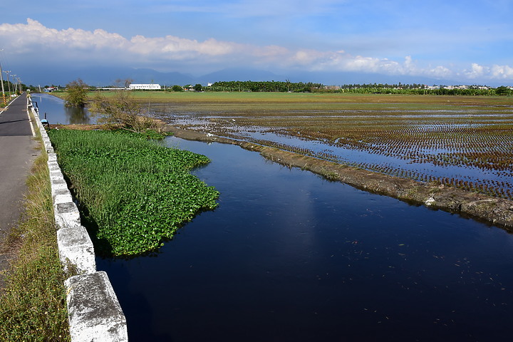 點我看大圖 滄海桑田:查勘彩䴉遷移路徑,才發現東港三西和與南州交壤的水稻田,變成了人工湖。