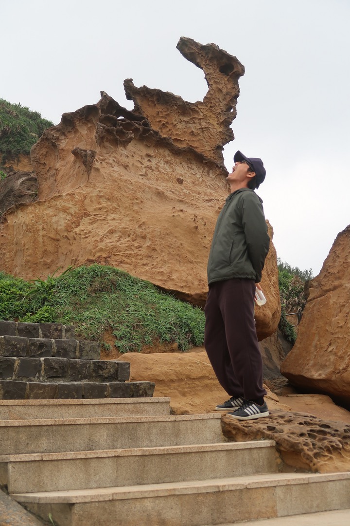 八里左岸~淡水榕堤~北海岸之旅