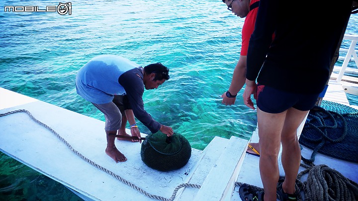 菲律賓宿霧影像紀錄(純圖)2