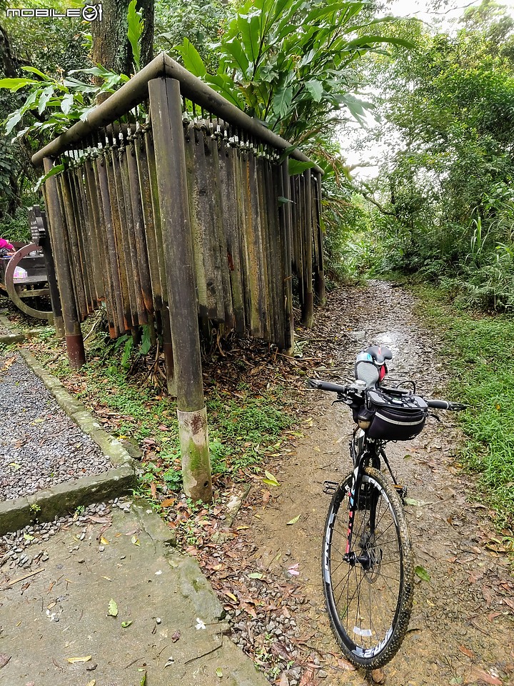沒路找路~~~直接貫穿木柵貓空和新店銀河路的樟湖步道騎單車記(圖多)