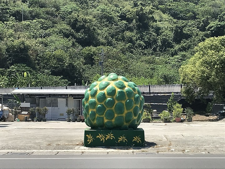 點我看大圖 徒步環島Day23-25台東縣大武鄉9.1K-太麻里鄉32.2K-台東市區23.2K