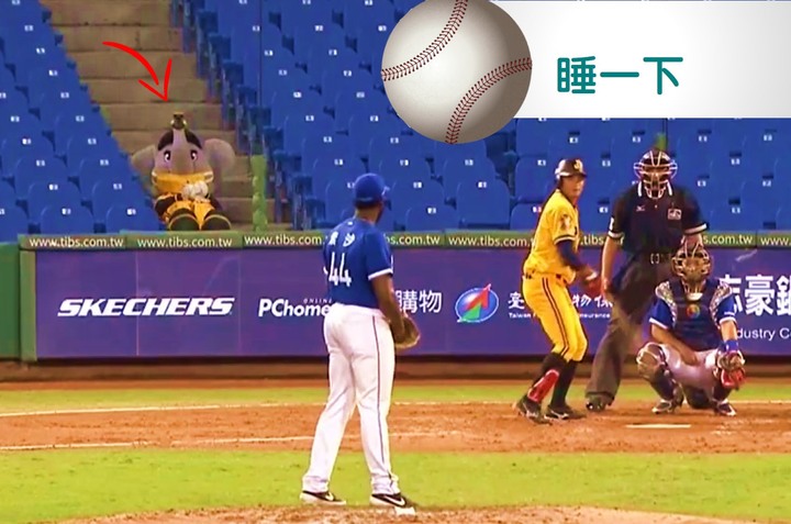 就算是沒有觀眾，吉祥物還是很盡責的！根本十項全能~(有影片)