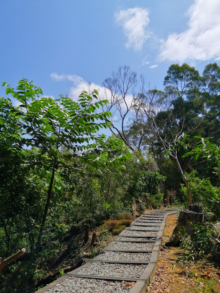 空拍聖地|IG打卡|小百岳|聚興山|潭子區|台中市