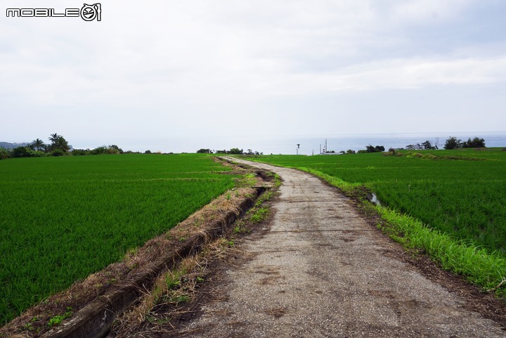 純粹分享Honda CR-V(純圖)