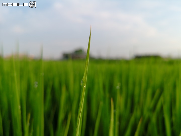 彰化縣大村鄉影像紀錄(純圖)